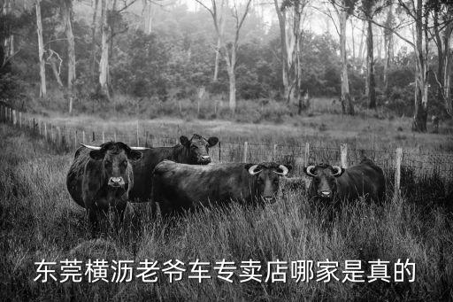 東莞益杰，東莞橫瀝老爺車專賣店哪家是真的