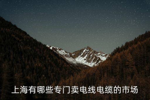 上海有哪些專門賣電線電纜的市場