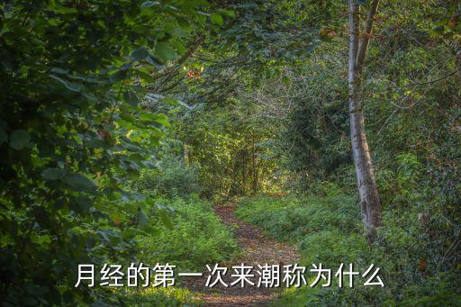 女性初潮，什么叫做初潮