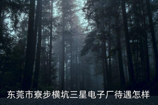 東莞市寮步橫坑三星電子廠待遇怎樣