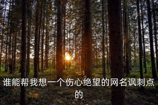誰能幫我想一個傷心絕望的網(wǎng)名諷刺點的