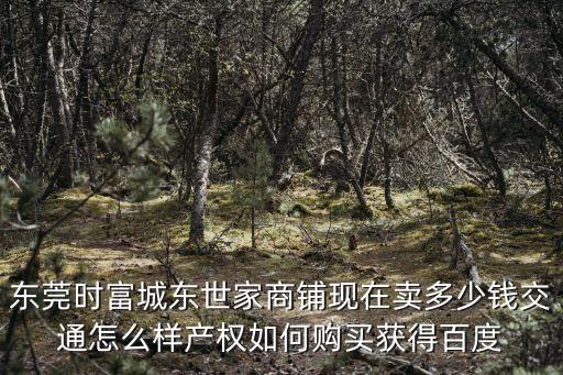 東莞時富城東世家商鋪現在賣多少錢交通怎么樣產權如何購買獲得百度