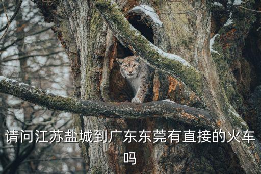 海鹽到東莞火車，鹽城到東莞的車費(fèi)是多少有火車可以嗎