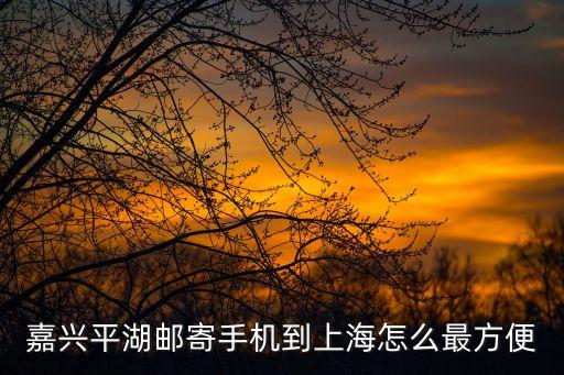 嘉興平湖郵寄手機到上海怎么最方便