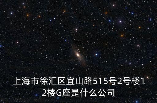 上海市徐匯區(qū)宜山路515號(hào)2號(hào)樓12樓G座是什么公司