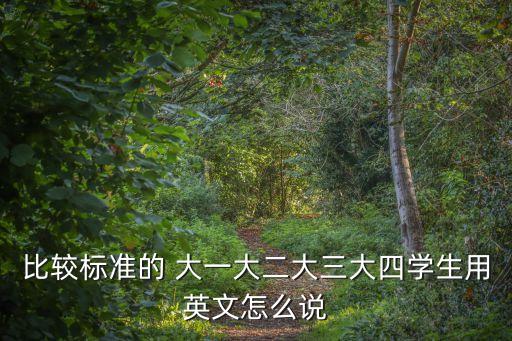 比較標準的 大一大二大三大四學生用英文怎么說
