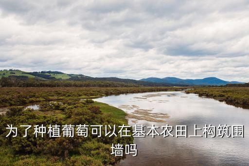為了種植葡萄可以在基本農(nóng)田上構(gòu)筑圍墻嗎