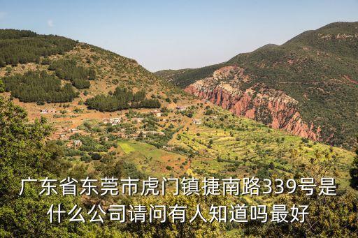 廣東省東莞市虎門鎮捷南路339號是什么公司請問有人知道嗎最好