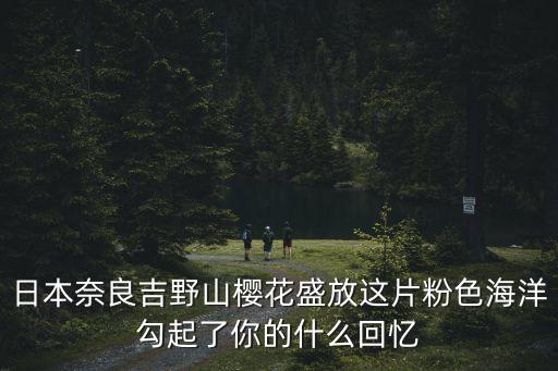 日本櫻花圖片，日本代表性質(zhì)的櫻花