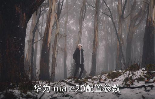 華為 mate20配置參數