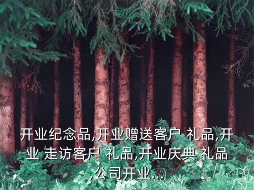 開業(yè)紀(jì)念品,開業(yè)贈(zèng)送客戶 禮品,開業(yè) 走訪客戶 禮品,開業(yè)慶典 禮品,公司開業(yè)...