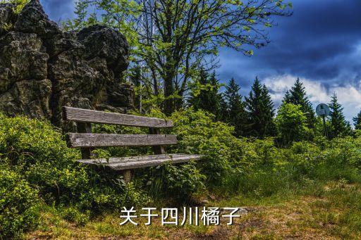 小城橘子，城固橘子現(xiàn)在多少錢(qián)一斤
