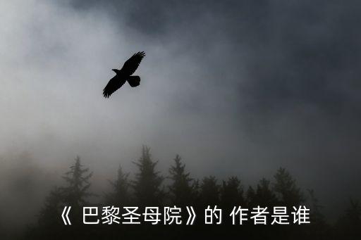 巴黎圣母院的作者,雨果小說奠定其世界著名小說家崇高地位
