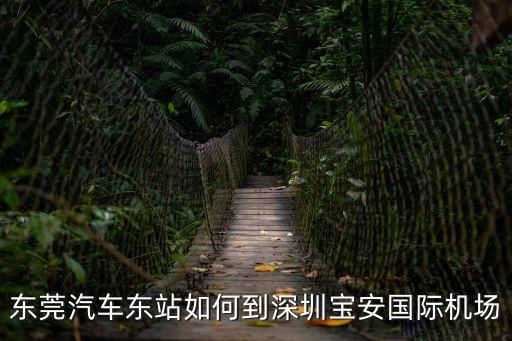 東莞汽車東站如何到深圳寶安國際機場