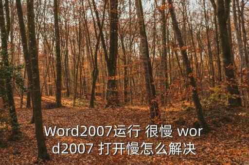 Word2007運行 很慢 word2007 打開慢怎么解決