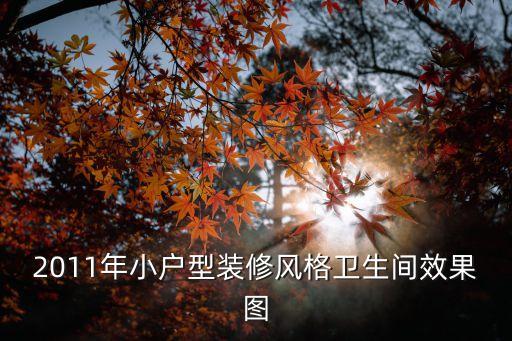 2011年小戶型裝修風(fēng)格衛(wèi)生間效果圖