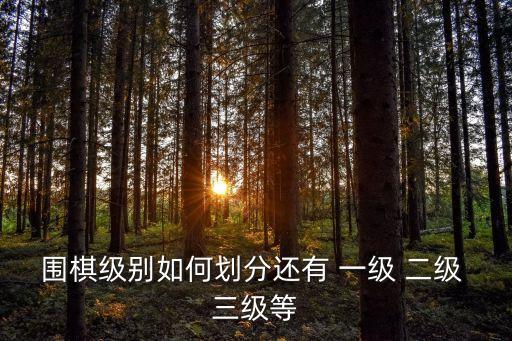 上海市圍棋段位怎么分，求上海圍棋段位棋手的名單包括業余和職業