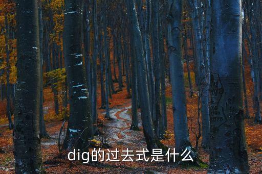 dig的過(guò)去式是什么