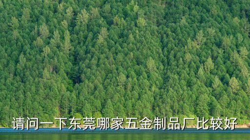 請問一下東莞哪家五金制品廠比較好