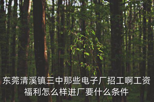 東莞清溪鎮三中那些電子廠招工啊工資福利怎么樣進廠要什么條件