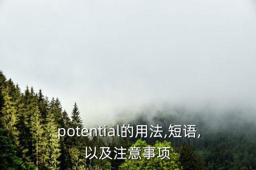  potential的用法,短語,以及注意事項