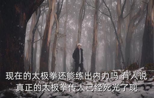 現(xiàn)在的太極拳還能練出內(nèi)力嗎 有人說真正的太極拳傳人已經(jīng)死光了現(xiàn)
