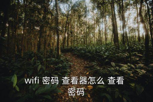 wifi 密碼 查看器怎么 查看 密碼