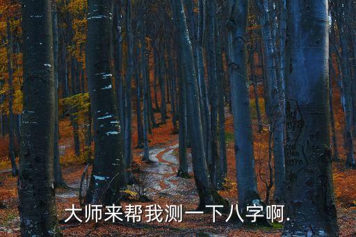大師來幫我測一下八字啊.