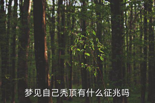 夢見禿頂，夢見頭頂禿了