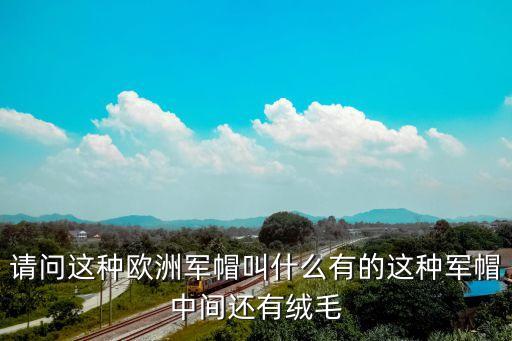 拿破侖帽，請問這種歐洲軍帽叫什么有的這種軍帽中間還有絨毛
