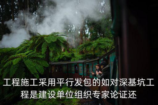上海市基坑評審，工程施工采用平行發包的如對深基坑工程是建設單位組織專家論證還