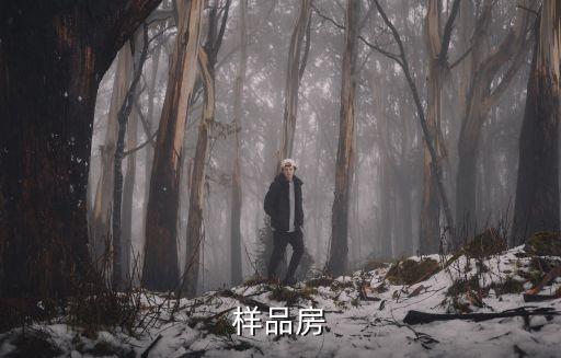 東莞萬科第五城樣板房視頻，樣品房
