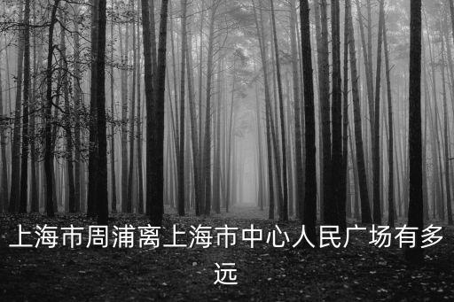 上海市周浦離上海市中心人民廣場有多遠