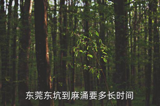 東莞東坑到麻涌要多長時間