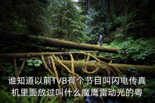 誰知道以前TVB有個節目叫閃電傳真機里面放過叫什么魔鷹雷動光的粵