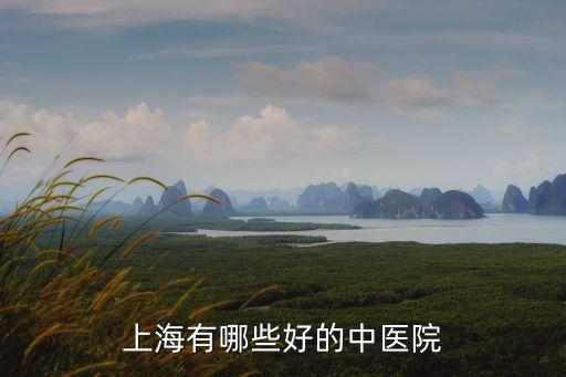 上海有哪些好的中醫院