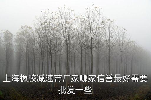上海橡膠減速帶廠家哪家信譽最好需要批發一些