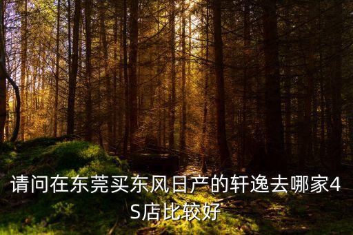 請(qǐng)問在東莞買東風(fēng)日產(chǎn)的軒逸去哪家4S店比較好