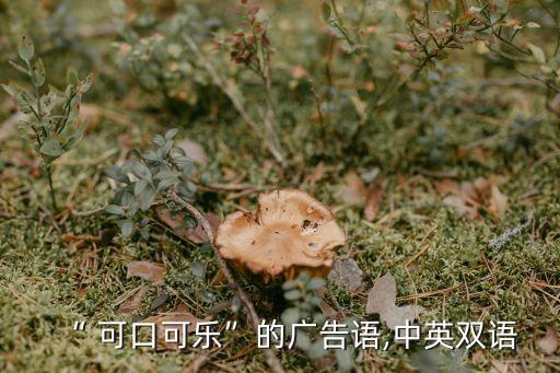 可口可樂廣告詞,可口可樂之爭的始末