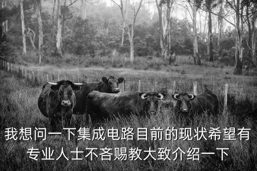 我想問一下集成電路目前的現狀希望有專業人士不吝賜教大致介紹一下