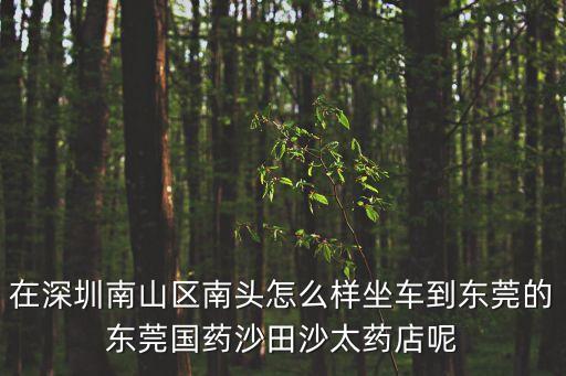 在深圳南山區南頭怎么樣坐車到東莞的東莞國藥沙田沙太藥店呢
