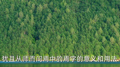 猶且從師而問焉中的焉字的意義和用法