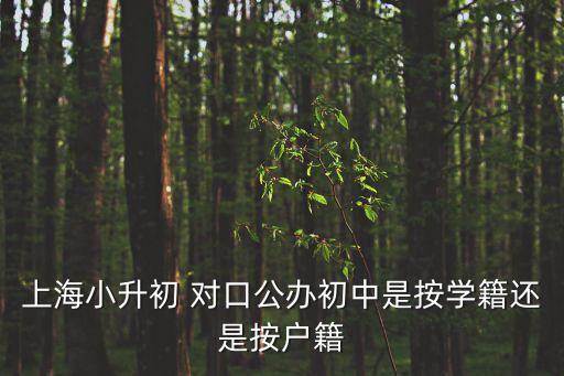 上海市小升初對口，上海小升初入學告知書須交對口中學嗎