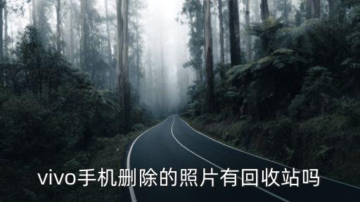 照片回收站，那個相冊回收站怎么弄啊