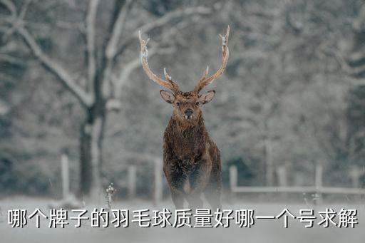 羽毛球推薦，哪種羽毛球好