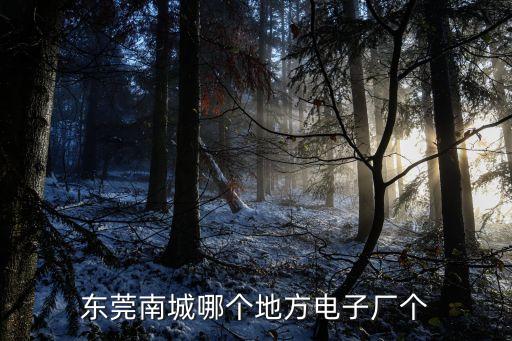 東莞南城哪個地方電子廠個