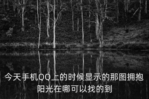 今天手機QQ上的時候顯示的那圖擁抱陽光在哪可以找的到