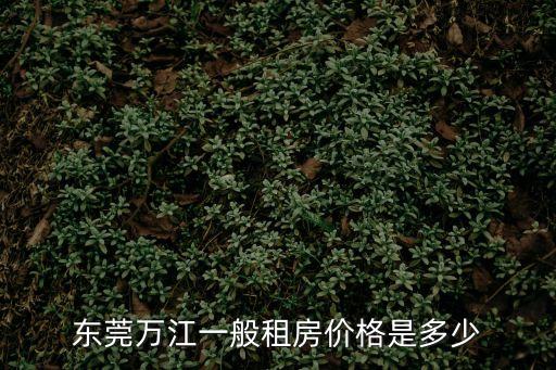 東莞萬江一般租房價格是多少
