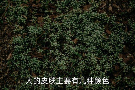 人的顏色,科學家:人類膚色差異是自然選擇的結果