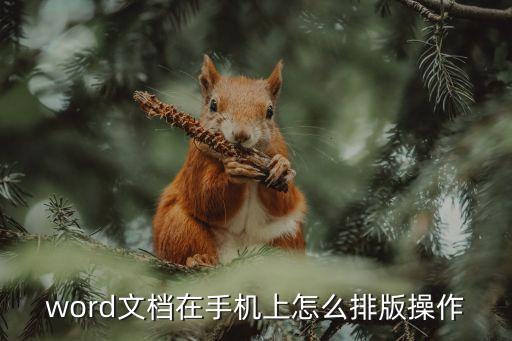 怎么排版，word文檔在手機上怎么排版操作